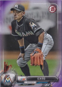 Bowman Purple /250