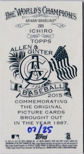 Allen & Ginter Mini Flag /25